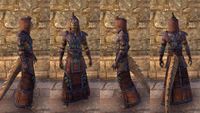 ON-item-armor-Linen-Robe-Argonian-Male.jpg