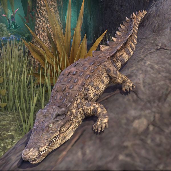 File:ON-pet-Lilmoth Crocodile Hatchling.jpg
