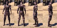 ON-item-armor-Hide-Breton-Male.jpg