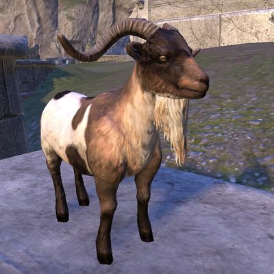 Online Wrothgar Buck Goat The Unofficial Elder Scrolls Pages UESP