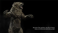 SR-load-Many species of bear roam Skyrim's wilds.jpg