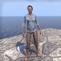 Servant's Robes (female)