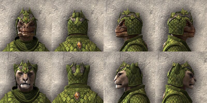 File:ON-item-armor-Nantharion's Royal Beast Races.jpg