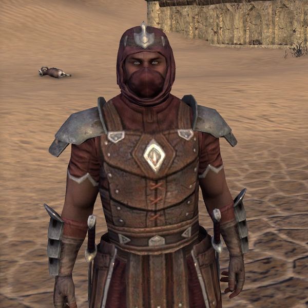 File:ON-npc-Sentinel Defender.jpg