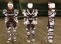 BM-item-Snow Wolf Armor Male.jpg
