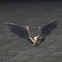 ON-furnishing-Long-Winged Bat.jpg