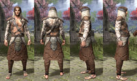 ON-item-armor-Homespun-Robe-Bosmer-Male.jpg
