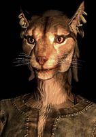 SR-race-Khajiit (female).jpg