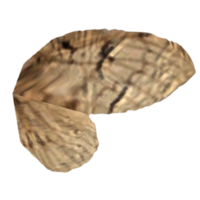 BS5C-icon-ingredient-GypsyMothWing.png