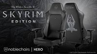MER-furniture-Skyrim 10th Anniversary Edition Chair.jpg