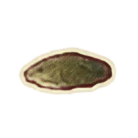 OBR-icon-ingredient-Lichor.png