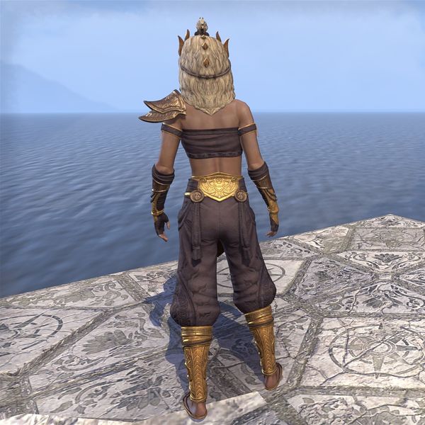 File:ON-costume-Dragon Rage Berserker's Garb (back).jpg