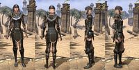 ON-item-armor-Leather-Breton-Female.jpg