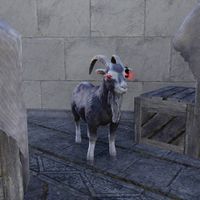 ON-creature-Goat (The Everlasting Fair) 02.jpg