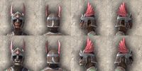 ON-item-armor-Imperial Medium 3 Beast Races.jpg