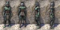 ON-item-armor-Refabricated Medium Female.jpg