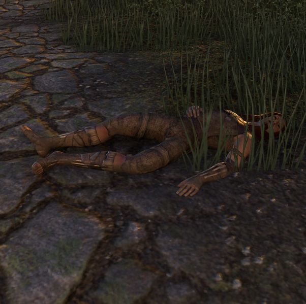 File:ON-npc-Sarmionor(dead).jpg