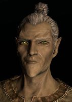 SR-race-High Elf (male).jpg