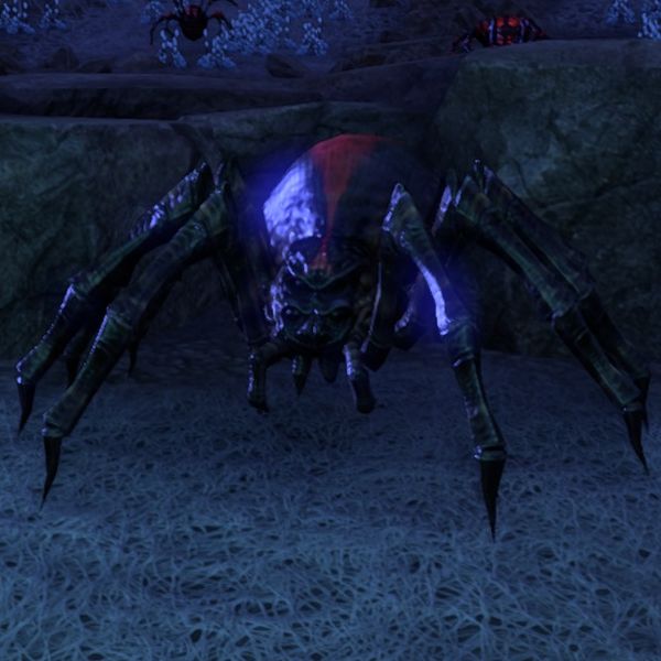 File:ON-creature-Ensnaring Spider.jpg