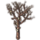 ON-icon-furnishing-Tree, Reach Totem.png