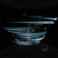 Thumbnail for version as of 16:05, 5 June 2025