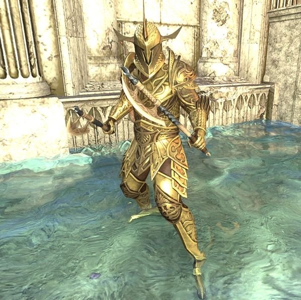 File:ON-npc-Auroran Berserker.jpg