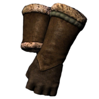 BS5C-icon-armor-ColovianFurGloves.png