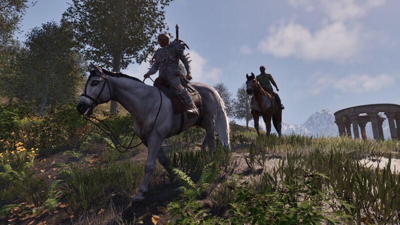 File:OBR-npc-Sir Roderic 02.jpg
