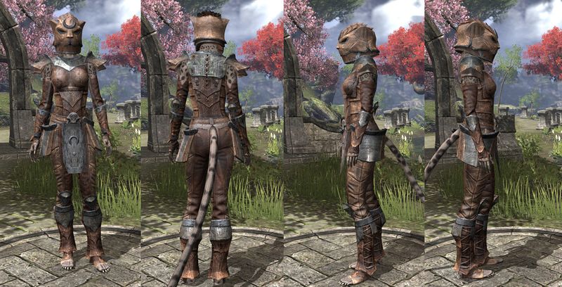 File:ON-item-armor-Khajiit Heavy 2 Female.jpg