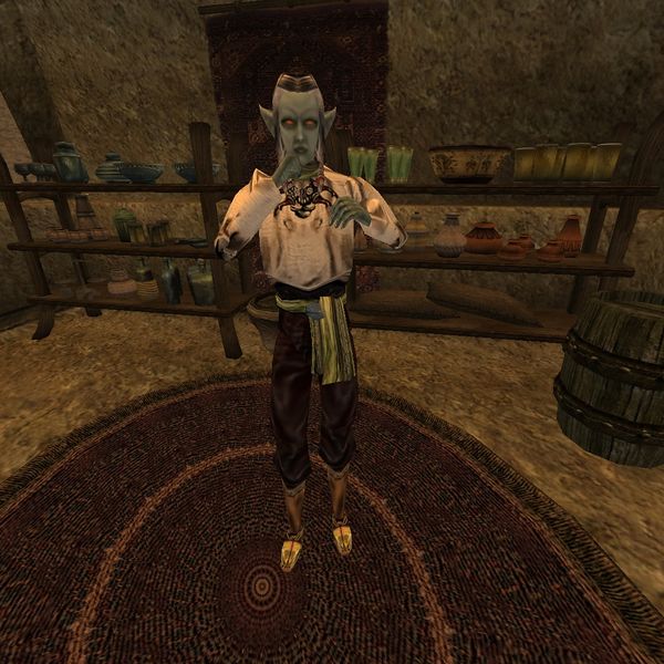 File:TR3-npc-Hetman Olvyne Llothro.jpg