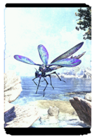 ON-card-Sea Sapphire Dovah-Fly.png