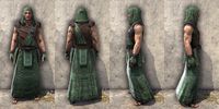 ON-item-armor-Imperial Light Robe 1 Male.jpg