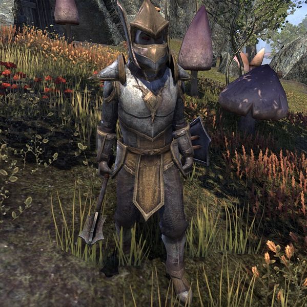 File:ON-npc-House Hlaalu Retainer (MM).jpg