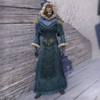 New Life Winter Storm Robes (female)