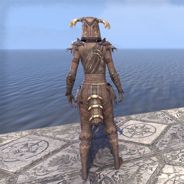 File:ON-costume-Northwind Disguise (back).jpg
