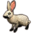 ON-icon-pet-Abyssal Bunny.png