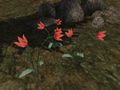 Thumbnail for version as of 11:14, 1 May 2025