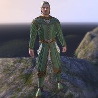 Kinlord's Alinor Attire (male)