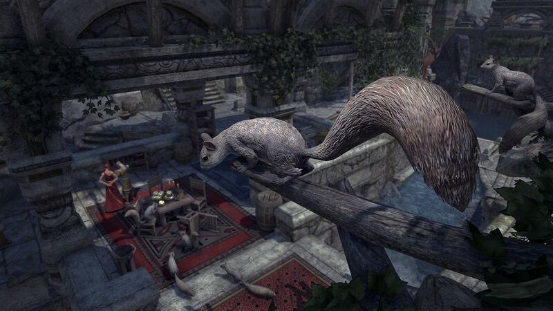 File:ON-crown store-Markarth Squirrel.jpg