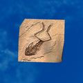 Thumbnail for version as of 01:35, 22 April 2025