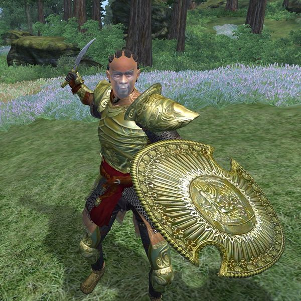 File:OB-npc-Vampire Rogue Male.jpg