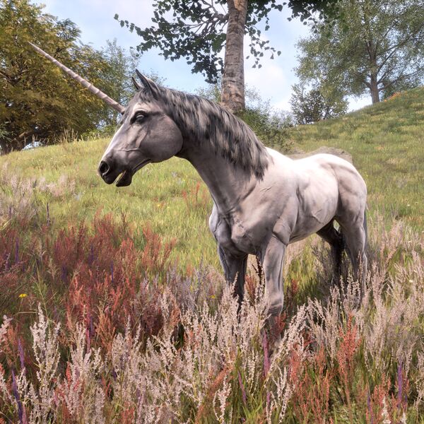 File:OBR-creature-Unicorn.jpg