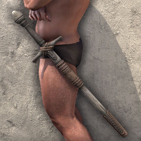 File:ON-item-weapon-Battleground Runner Sword.jpg