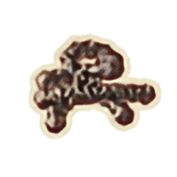 OBR-icon-ingredient-Black Seed Pod.png