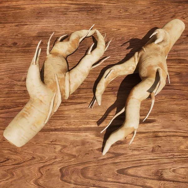 File:OBR-ingredient-Mandrake Root.jpg