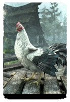 ON-card-Riverwood White Hen.png