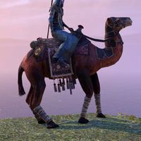ON-mount-Hel Ra Camel of Kingship 02.jpg