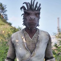 OBR-npc-Sakeepa 02.jpg