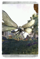 ON-card-Regal Dovah-Fly.png
