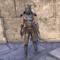 Nedic Perena Armor (female)